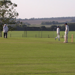 lscc cricket