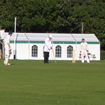 lscc cricket