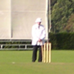 lscc cricket